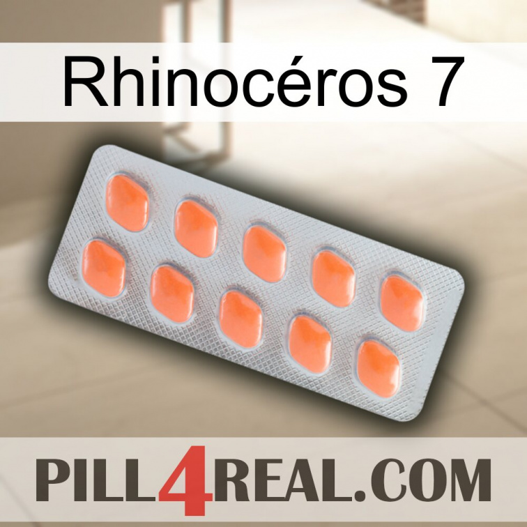 Rhinocéros 7 26